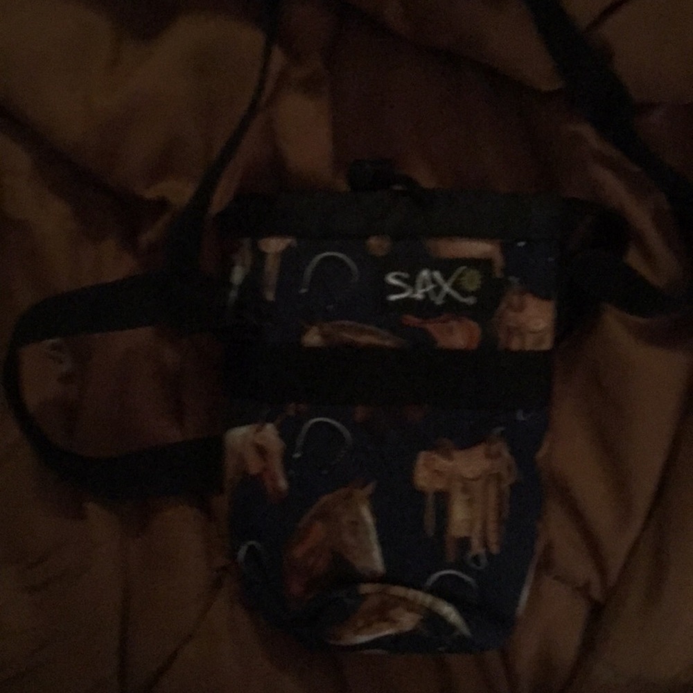 Insulated bag hold large bottles or thermos